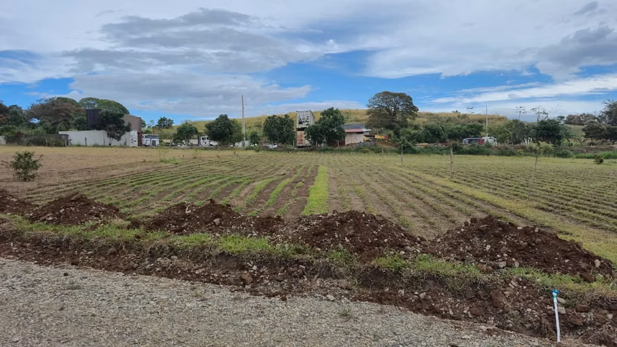 PROYECTO EN PREVENTA CATARATA Quintas Residenciales en Grecia, Alajuela - Imagen 14