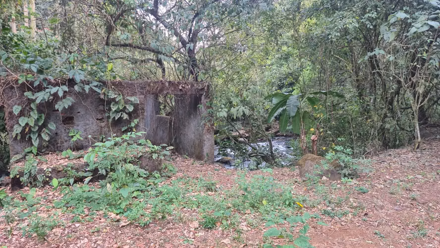 PROYECTO EN PREVENTA CATARATA Quintas Residenciales en Grecia, Alajuela - Imagen 6