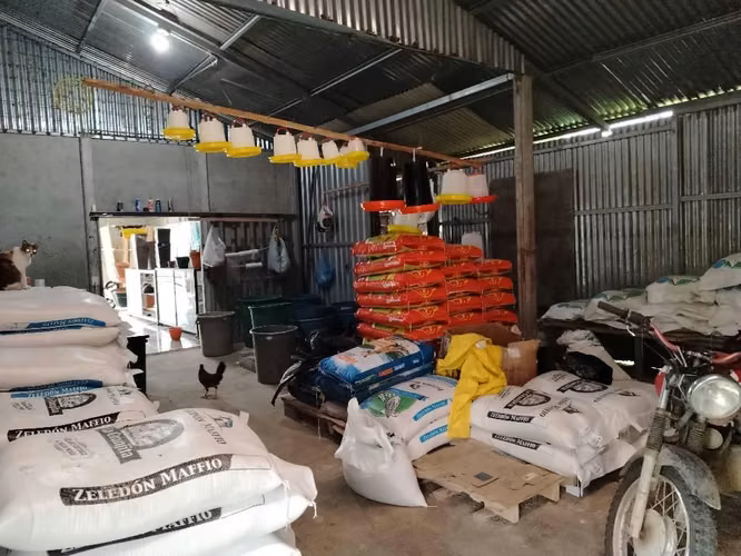 Se vende local comercial