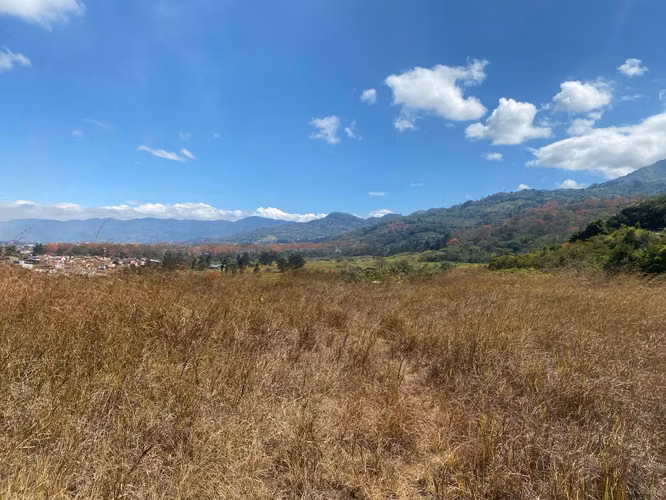 Propiedad de 2.8ha, con vistas de San José y montañas, para desarrollo - Imagen 6