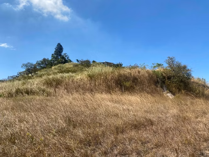 Propiedad de 2.8ha, con vistas de San José y montañas, para desarrollo - Imagen 4
