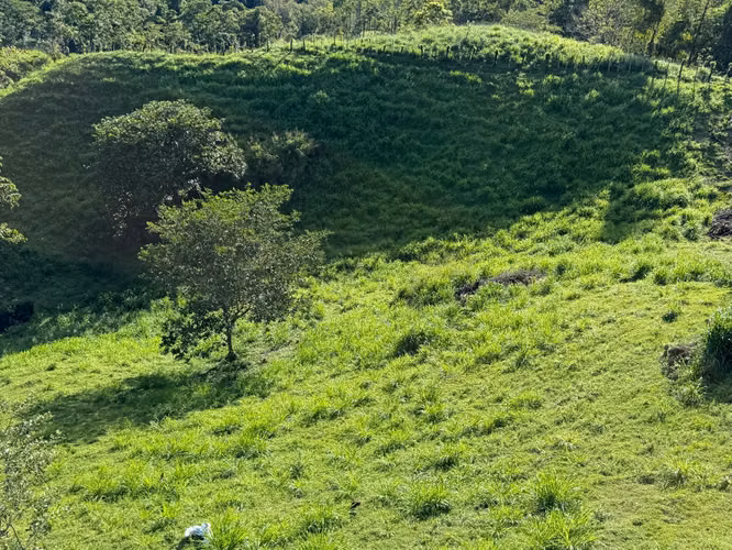 Venta de finca en San Carlos - Zona de Alto Crecimiento Turístico - Imagen 8