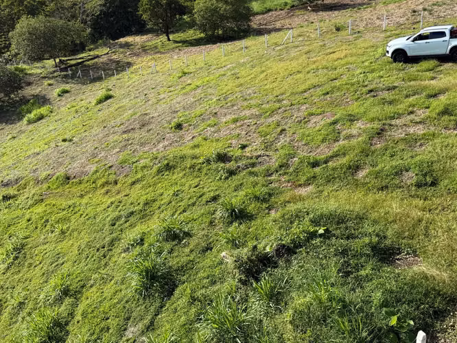 Venta de finca en San Carlos - Zona de Alto Crecimiento Turístico - Imagen 7