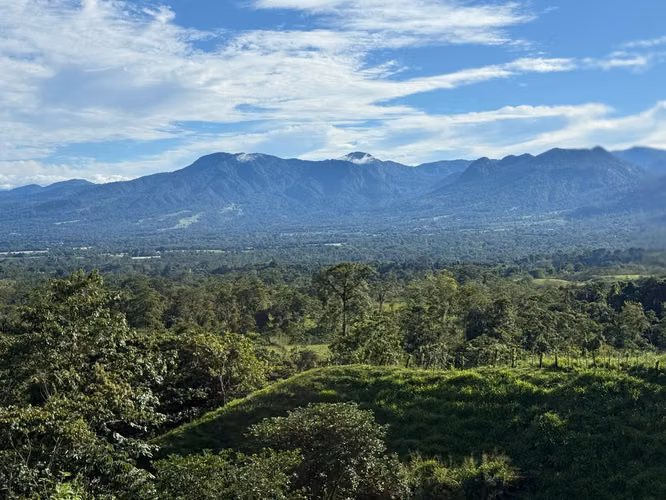 Venta de finca en San Carlos - Zona de Alto Crecimiento Turístico - Imagen 4