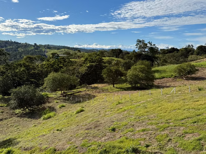Venta de finca en San Carlos - Zona de Alto Crecimiento Turístico - Imagen 19