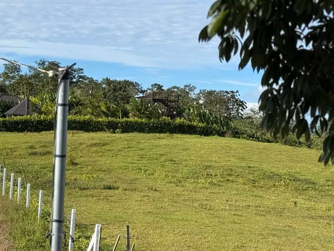 Venta de finca en San Carlos - Zona de Alto Crecimiento Turístico - Imagen 10