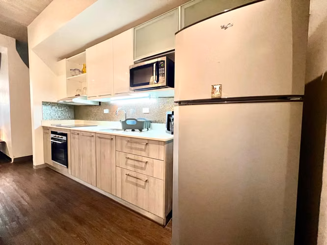 PRECIOSS AMOBLADO FULL 60M2 CON TERRAZA EN SANTA ANA CENTRO