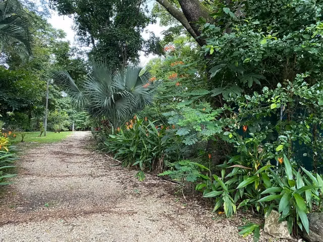 REBAJADA!! Venta de Casa en Belén, Carrillo, Guanacaste. 4588 - Imagen 9