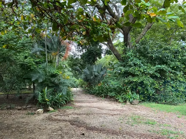 REBAJADA!! Venta de Casa en Belén, Carrillo, Guanacaste. 4588 - Imagen 2