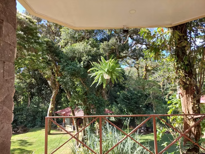 ALQUILER O VENTA DE HERMOSA CASA EN EL TIROL, HEREDIA - Imagen 11
