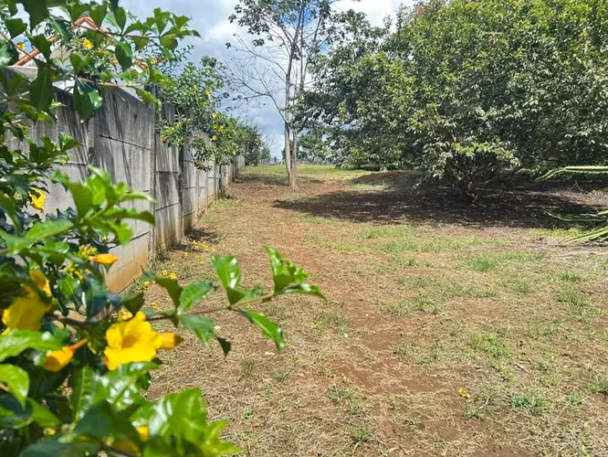 Amplio Lote con Frente a Carretera en Zona de Alto Potencial – Garita, Alajuela 25616 - Imagen 8