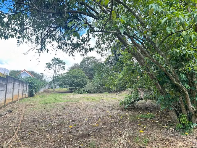 Amplio Lote con Frente a Carretera en Zona de Alto Potencial – Garita, Alajuela 25616 - Imagen 10