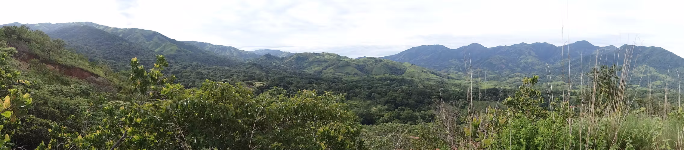 Venta Quinta en Condominio seguro en Turrubares - Imagen 8