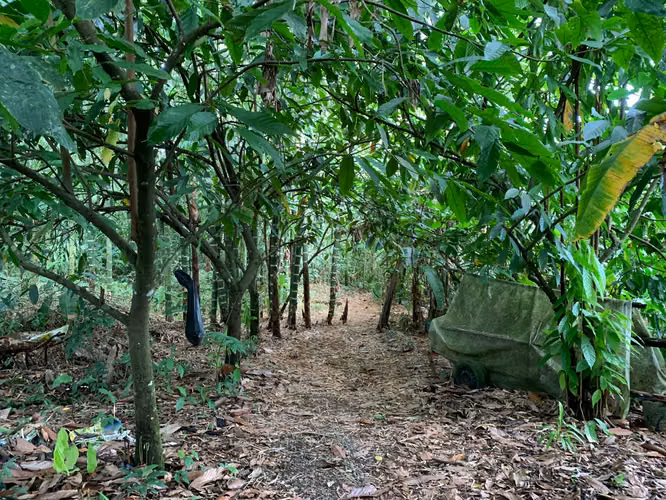 Lote en venta para inversión | La Fortuna - Imagen 7