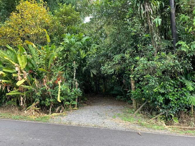 Lote en venta para inversión | La Fortuna - Imagen 6