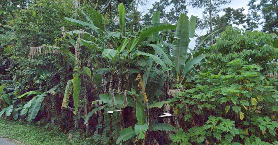 Lote en venta para inversión | La Fortuna - Imagen 2