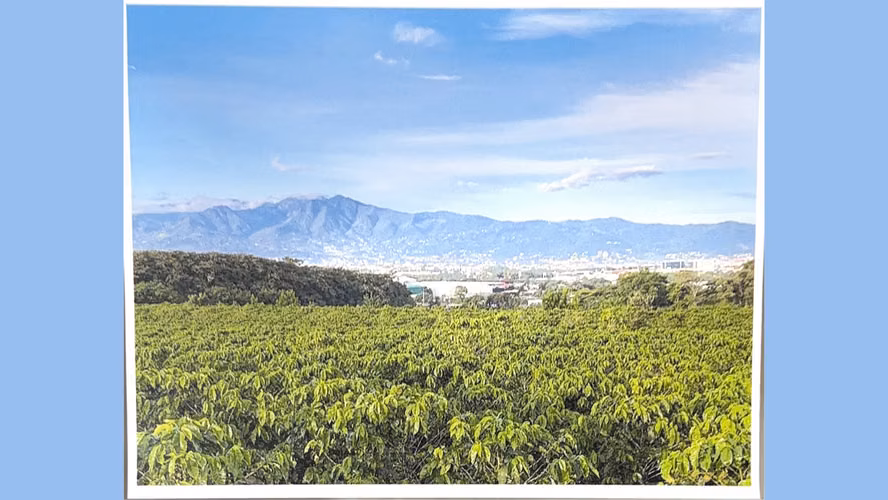 Terreno en Venta Oportunidad Desarrolladores! Heredia Potencial Residencial, Comercial y Logístico