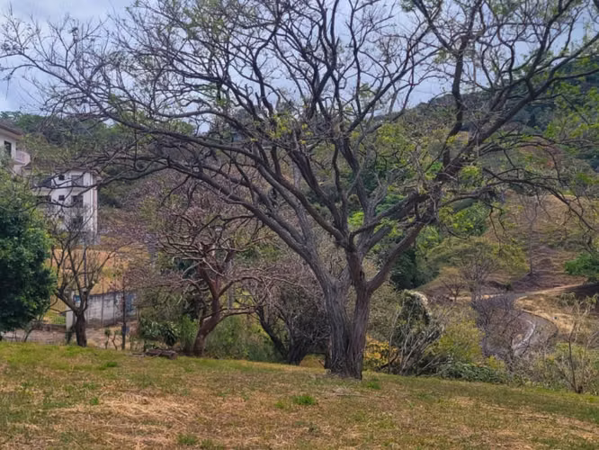 Terreno en Venta – Altos de Las Palomas, Santa Ana