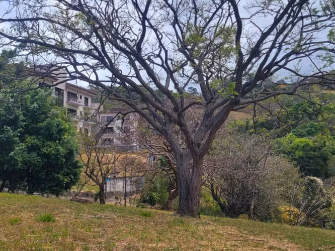 Terreno en Venta – Altos de Las Palomas, Santa Ana