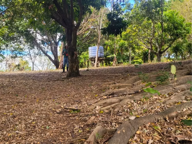 Terreno en Venta – Altos de Las Palomas, Santa Ana