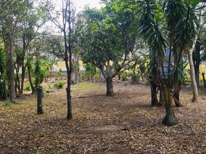 Terreno en Venta – Altos de Las Palomas, Santa Ana