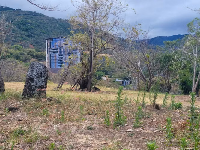 Terreno en Venta – Altos de Las Palomas, Santa Ana
