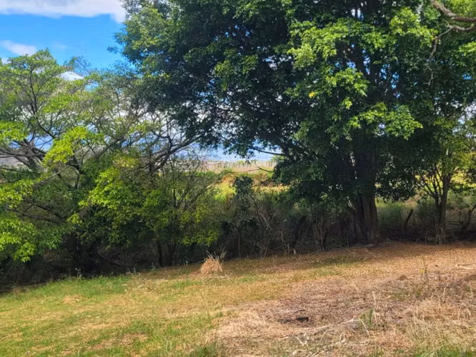 Terreno en Venta – Altos de Las Palomas, Santa Ana