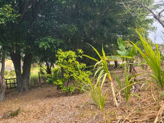 Terreno en Venta – Altos de Las Palomas, Santa Ana