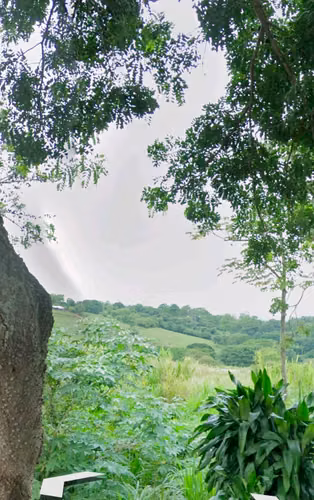 Finca en Tacares de Grecia con Uso de Suelo Residencial Alta Densidad - Imagen 6