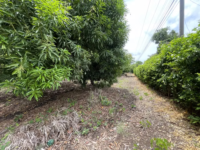 Venta de Lote en Pueblo Viejo, Mansión de Nicoya Guanacaste Uso Mixto