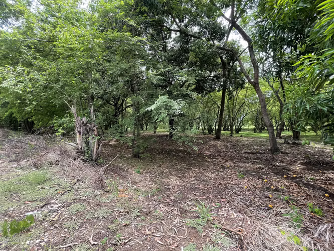 Venta de Lote en Pueblo Viejo, Mansión de Nicoya Guanacaste Uso Mixto