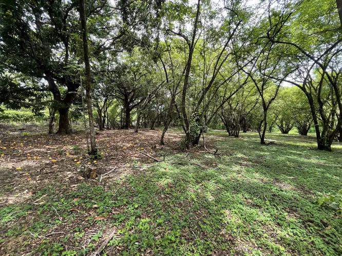 Venta de Lote en Pueblo Viejo, Mansión de Nicoya Guanacaste Uso Mixto