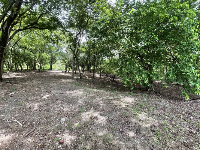 Venta de Lote en Pueblo Viejo, Mansión de Nicoya Guanacaste Uso Mixto