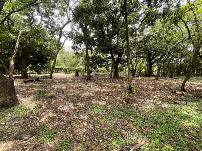 Venta de Lote en Pueblo Viejo, Mansión de Nicoya Guanacaste Uso Mixto