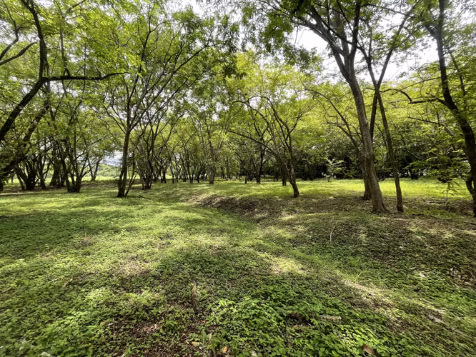 Venta de Lote en Pueblo Viejo, Mansión de Nicoya Guanacaste Uso Mixto