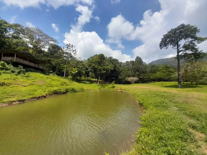 Farm for Sale in San Carlos with Hot Springs, Lake, and Natural Springs
