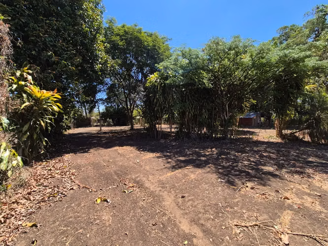 Se Venden Lotes en Libertad de Sardinal