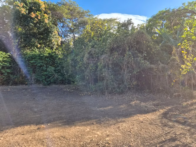 Se Venden Lotes en Libertad de Sardinal
