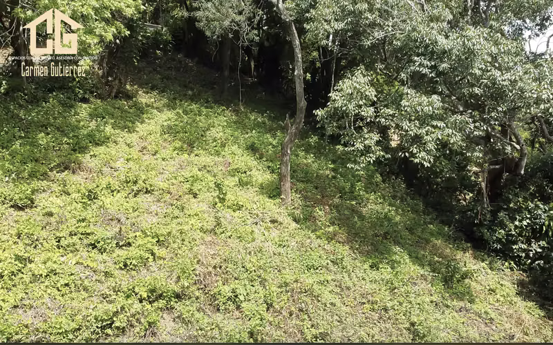 VENTA DE TERRENO EN TERRAZAS - CIUDAD COLON- BRASIL DE MORA - Imagen 2