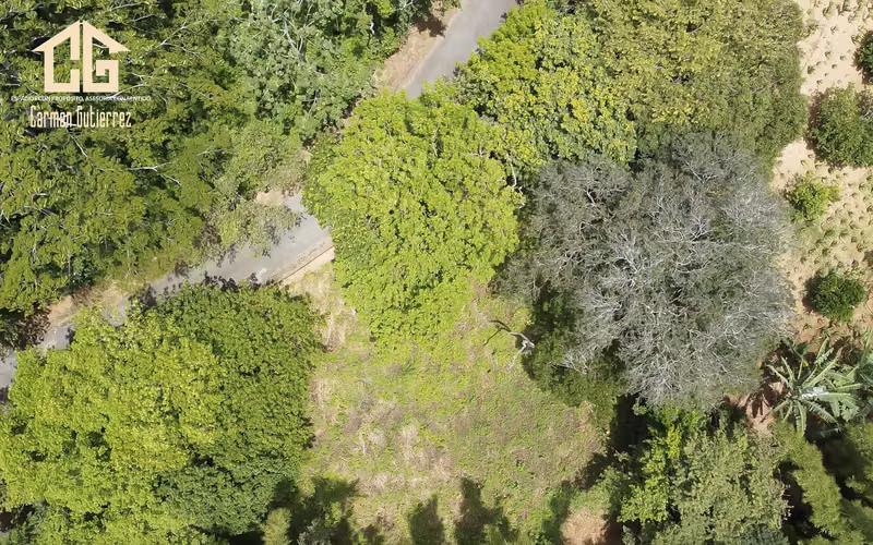 VENTA DE TERRENO EN TERRAZAS - CIUDAD COLON- BRASIL DE MORA - Imagen 9