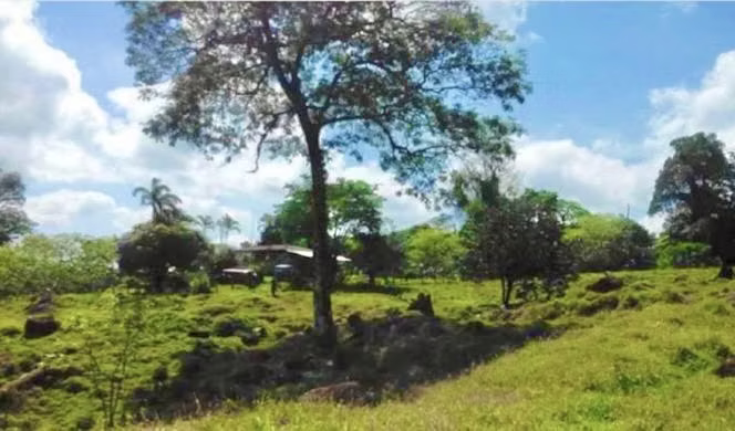 Venta de Finca 148 Hectáreas – Sarapiquí, Heredia – Colinda Braulio Carrillo – $1.480.000 - Imagen 12