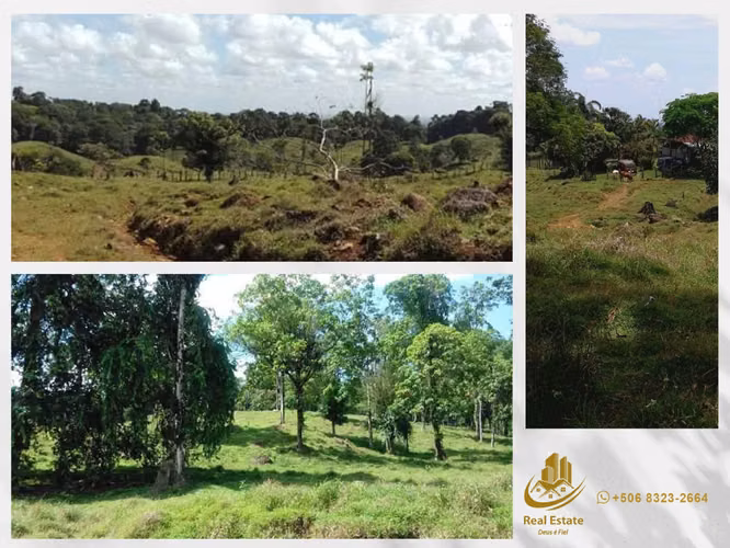 Venta de Finca 148 Hectáreas – Sarapiquí, Heredia – Colinda Braulio Carrillo – $1.480.000 - Imagen 16