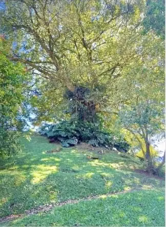 Venta de Lote 1163.70 m² en Senderos del Río – Club Campestre Privado – - Imagen 8