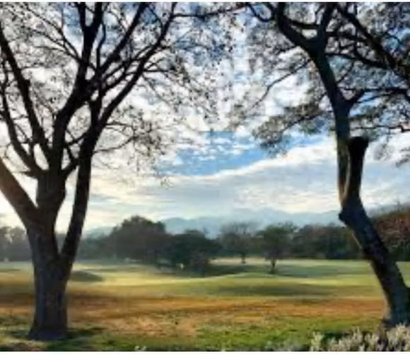 Venta de Lote 868 m²  – Cariari Golf Club – Frente a Cancha – $282.000 - Imagen 10