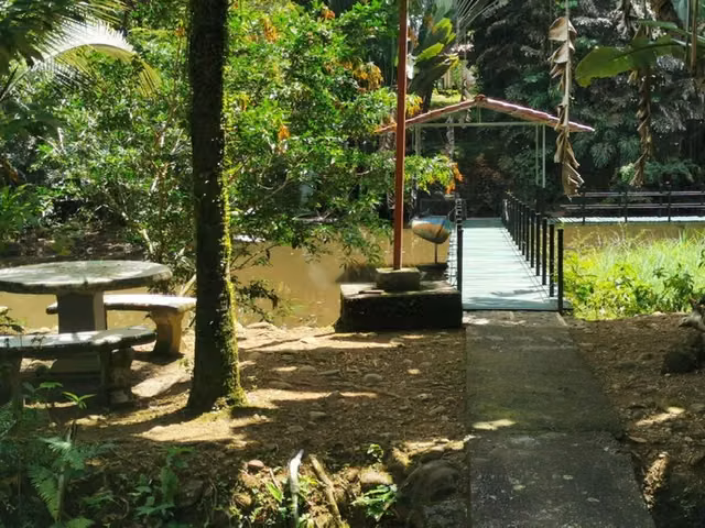 Venta de Finca Sarapiqui -Espectacular para Turismo - Imagen 5
