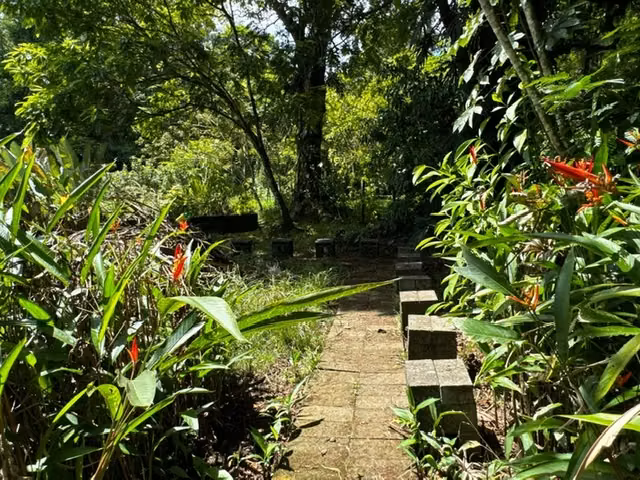 Venta de Finca Sarapiqui -Espectacular para Turismo - Imagen 6