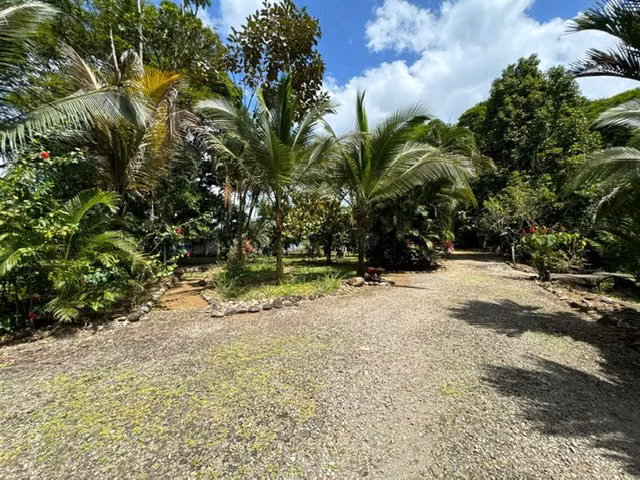 Venta de Finca Sarapiqui -Espectacular para Turismo - Imagen 3