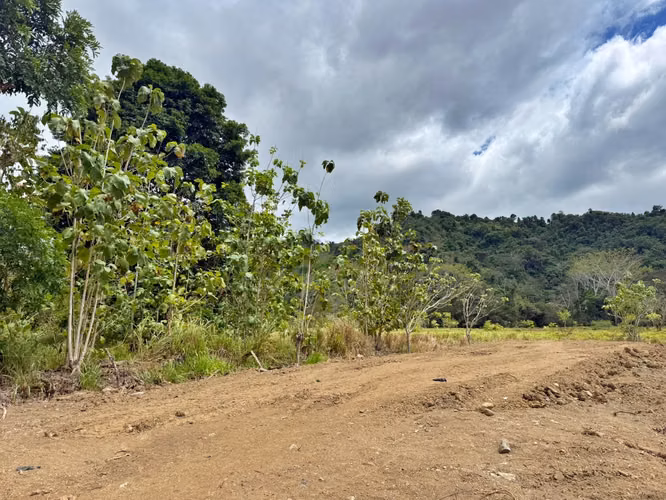 Venta terreno plano cerca de playa, Pueblo Nuevo, Garabito. (MV)
