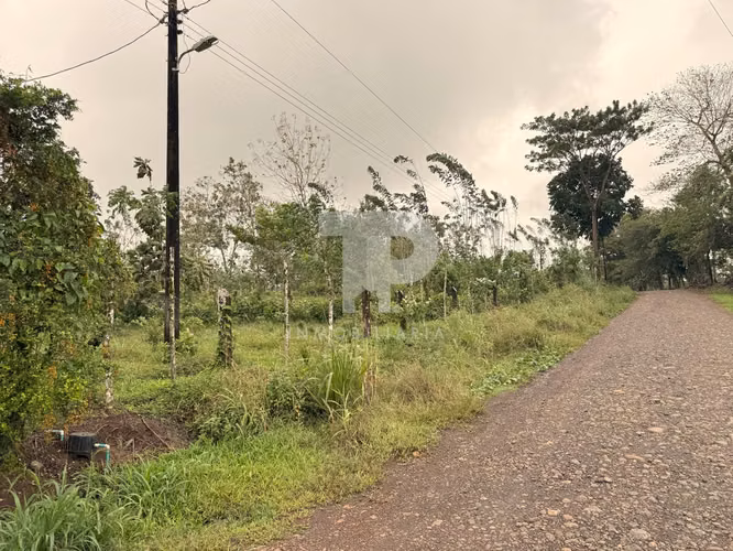 Propiedad en Pocosol-San Carlos. JRC107 - Imagen 15