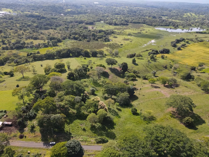 Excelente oportunidad de inversion Lote Orotina-Uso de suelo Industrial-VH - Imagen 7